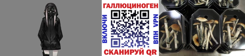 Псилоцибиновые грибы MAGIC MUSHROOMS  darknet как зайти  гидра зеркало  Карасук  купить закладку 