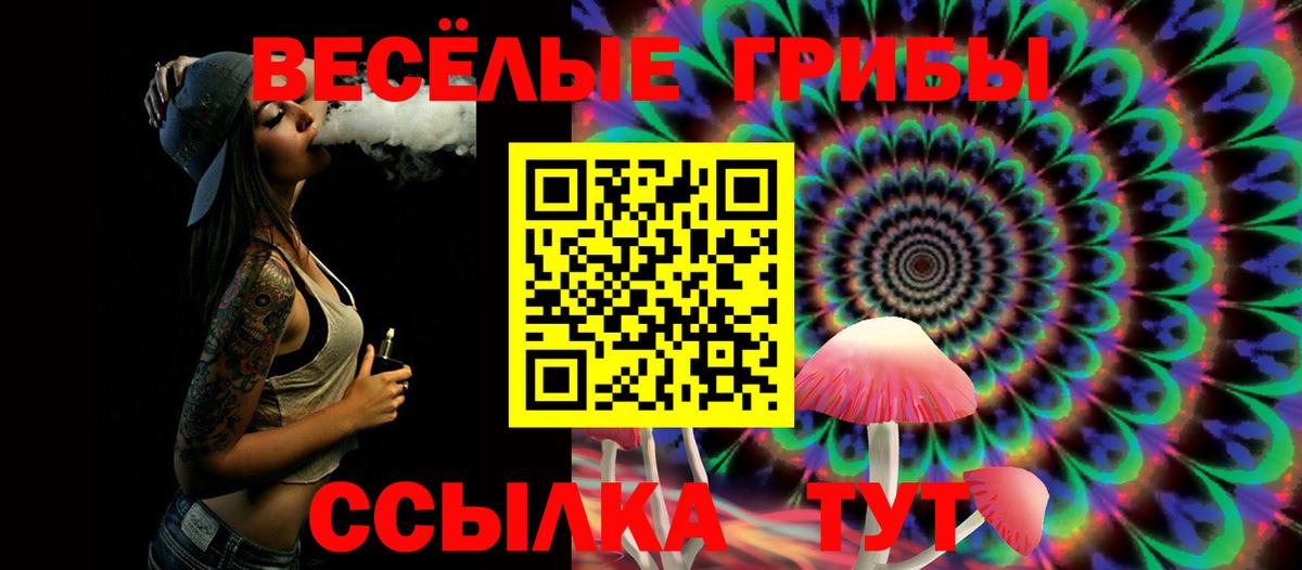 Галлюциногенные грибы ЛСД  Галлюциногенные грибы прущие грибы  Карасук  Вход с VPN 