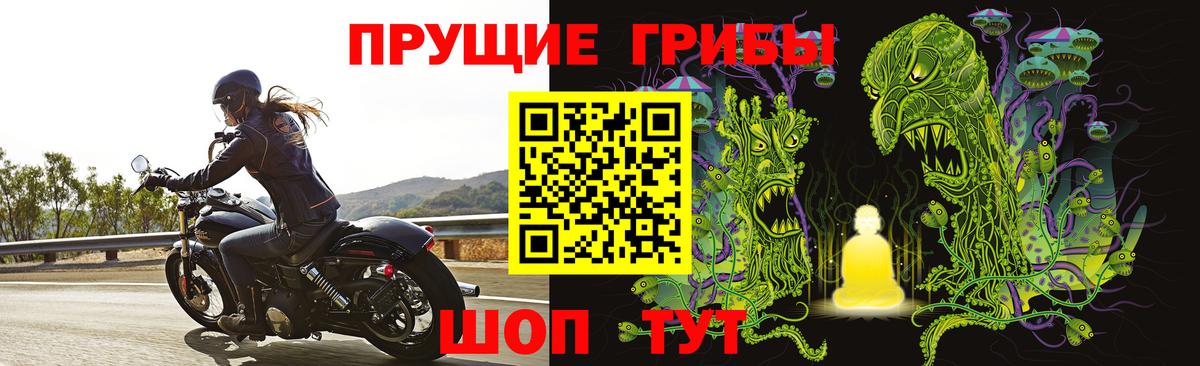 Псилоцибиновые грибы Psilocybine cubensis Карасук