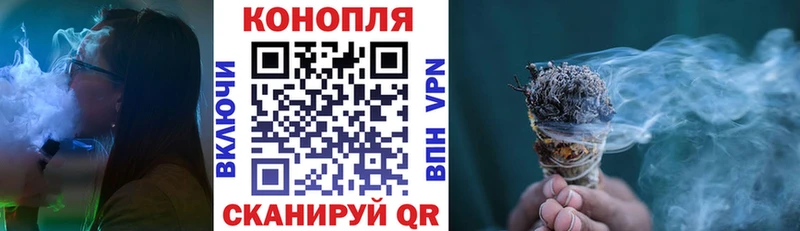Бошки Шишки ГИДРОПОН  Карасук 